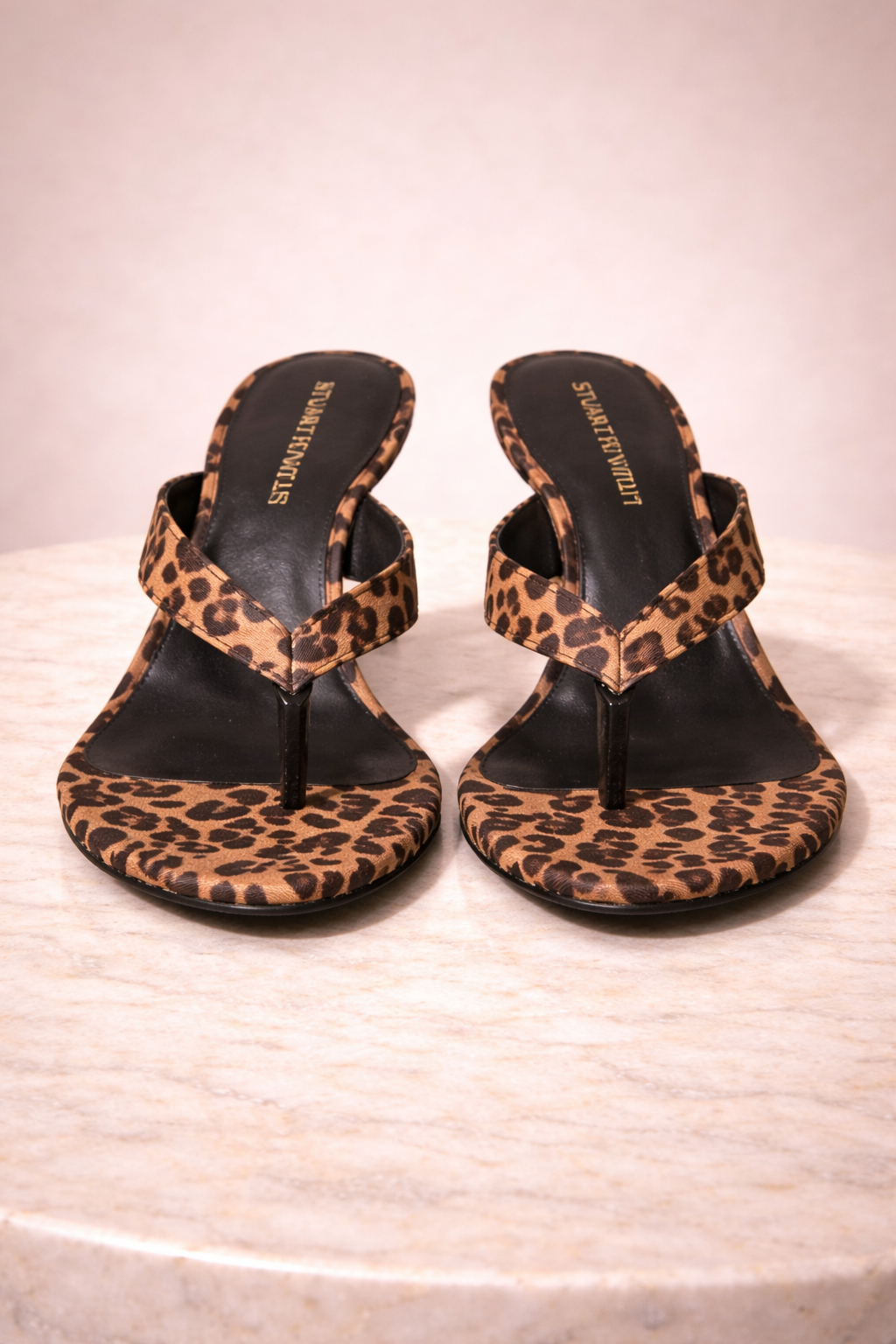 Cheetah Amor