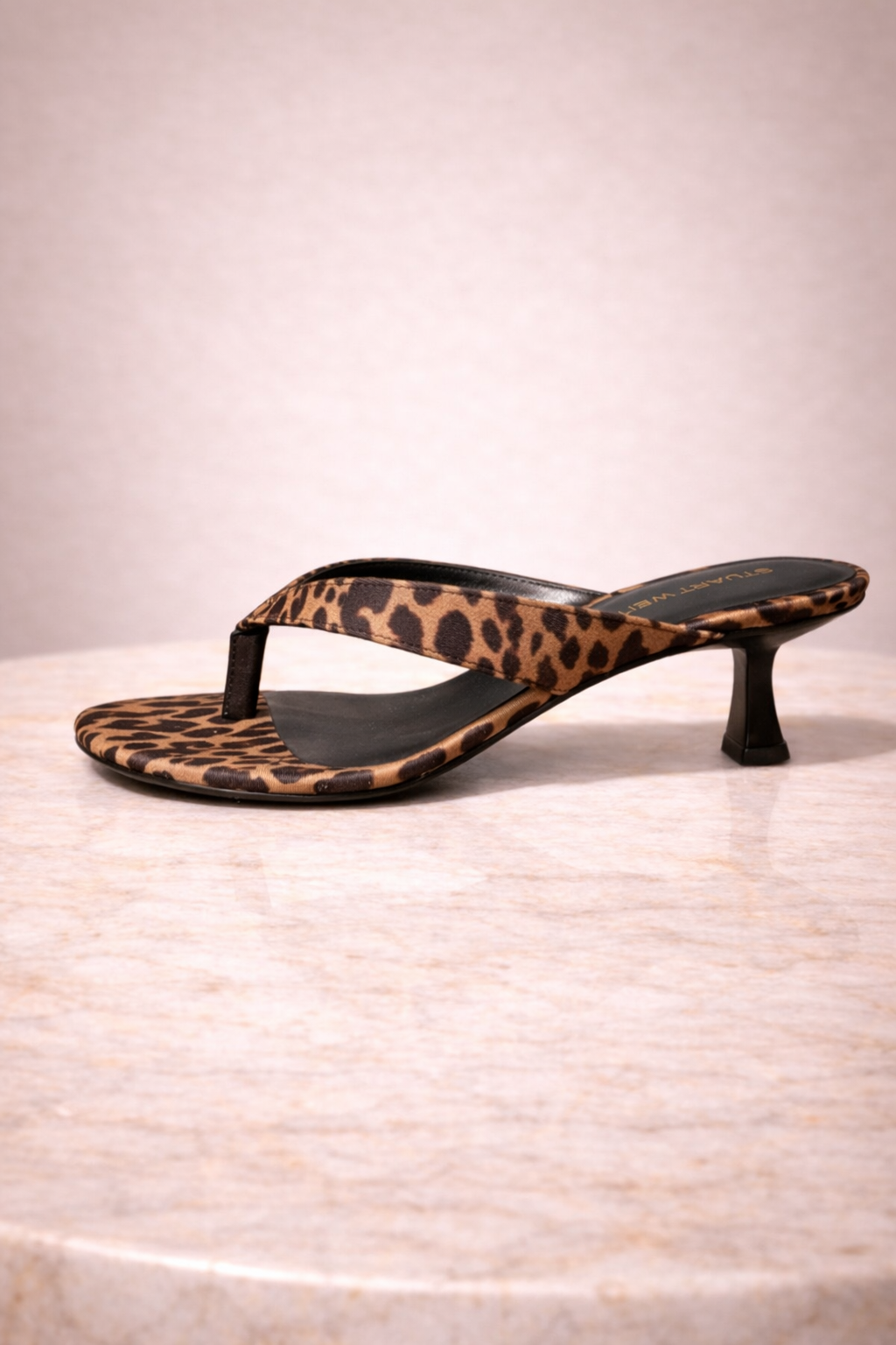Cheetah Amor